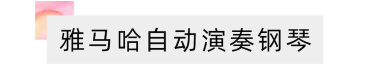 活动报道 | 远程艺术教育大师课活动—QG刮刮乐教育家崔岚大师课